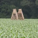 Uncle Shuck's Corn Maze & Pumpkin Patch photo