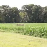 Uncle Shuck's Corn Maze & Pumpkin Patch photo