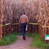 Uncle Shuck's Corn Maze & Pumpkin Patch photo