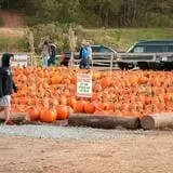 Uncle Shuck's Corn Maze & Pumpkin Patch photo