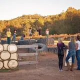 Uncle Shuck's Corn Maze & Pumpkin Patch photo