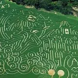 Uncle Shuck's Corn Maze & Pumpkin Patch photo