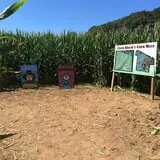 Uncle Shuck's Corn Maze & Pumpkin Patch photo