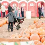 Uncle Shuck's Corn Maze & Pumpkin Patch photo