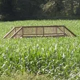 Uncle Shuck's Corn Maze & Pumpkin Patch photo