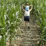 Uncle Shuck's Corn Maze & Pumpkin Patch photo