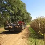 Uncle Shuck's Corn Maze & Pumpkin Patch photo