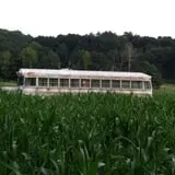 Uncle Shuck's Corn Maze & Pumpkin Patch photo