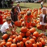 Uncle Shuck's Corn Maze & Pumpkin Patch photo