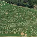 Uncle Shuck's Corn Maze & Pumpkin Patch photo