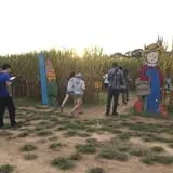 Uncle Shuck's Corn Maze & Pumpkin Patch photo
