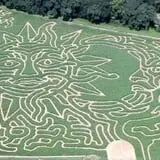 Uncle Shuck's Corn Maze & Pumpkin Patch photo