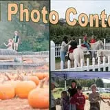 Uncle Shuck's Corn Maze & Pumpkin Patch photo