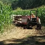 Uncle Shuck's Corn Maze & Pumpkin Patch photo