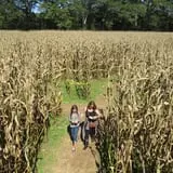 Uncle Shuck's Corn Maze & Pumpkin Patch photo