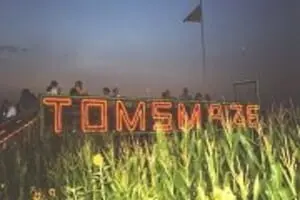 Tom's Maze and Pumpkin Farm