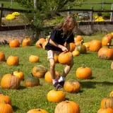 Blue Jay Orchards PYO Pumpkins & Wagon Rides photo