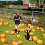 Blue Jay Orchards PYO Pumpkins & Wagon Rides photo