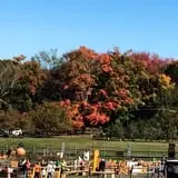 Blue Jay Orchards PYO Pumpkins & Wagon Rides photo