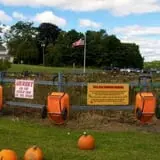 Blue Jay Orchards PYO Pumpkins & Wagon Rides photo