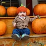 Blue Jay Orchards PYO Pumpkins & Wagon Rides photo