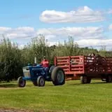 Blue Jay Orchards PYO Pumpkins & Wagon Rides photo