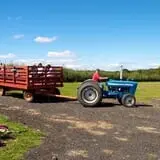Blue Jay Orchards PYO Pumpkins & Wagon Rides photo