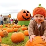Blue Jay Orchards PYO Pumpkins & Wagon Rides photo