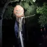 Nightmare At Owl Creek photo