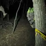 Nightmare At Owl Creek