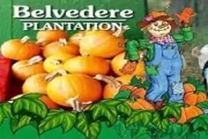 Belvedere Plantation Fall Harvest Festival