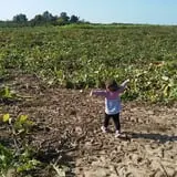 Gary Cranes U-Pick Farm photo