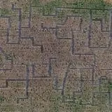 Haunted Maze at Circle S Corn Maze and Pumpkin Patch photo