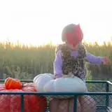 Haunted Maze at Circle S Corn Maze and Pumpkin Patch photo