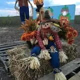 Haunted Maze at Circle S Corn Maze and Pumpkin Patch photo