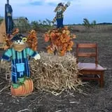 Haunted Maze at Circle S Corn Maze and Pumpkin Patch photo