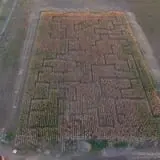Haunted Maze at Circle S Corn Maze and Pumpkin Patch photo