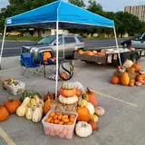 Haunted Maze at Circle S Corn Maze and Pumpkin Patch photo
