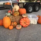 Haunted Maze at Circle S Corn Maze and Pumpkin Patch photo