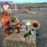 Haunted Maze at Circle S Corn Maze and Pumpkin Patch photo