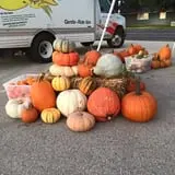 Haunted Maze at Circle S Corn Maze and Pumpkin Patch photo
