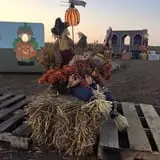 Haunted Maze at Circle S Corn Maze and Pumpkin Patch photo