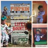 Haunted Maze at Circle S Corn Maze and Pumpkin Patch photo