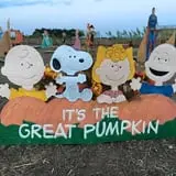 Haunted Maze at Circle S Corn Maze and Pumpkin Patch photo