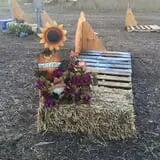 Haunted Maze at Circle S Corn Maze and Pumpkin Patch photo