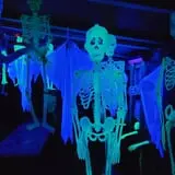 Haunted Hallways Maze photo