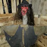 Haunted Hallways Maze photo