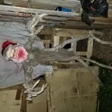 Haunted Hallways Maze photo