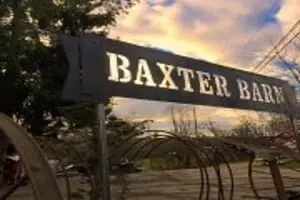 Baxter Barn Pumpkin Patch