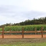 Craven Farm photo